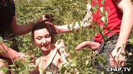 年輕的公雞正在等待他的父親工作，以便發生性關係