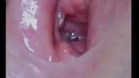 情色與毛茸茸的貓
