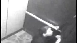 布魯內特在廚房裡吮男朋友