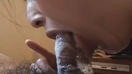 來自德國的美麗女同性戀者正在甜蜜地舔著小貓
